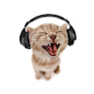 Meet your Posher, Hasen alana